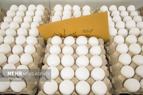 ممنوعیت صادرات تخم مرغ به عراق تکذیب شد